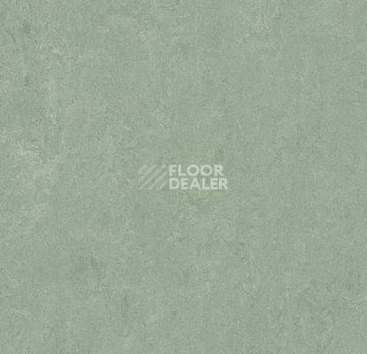 Линолеум Forbo Marmoleum Marbled Fresco 3891-389135 sage фото 1 | FLOORDEALER